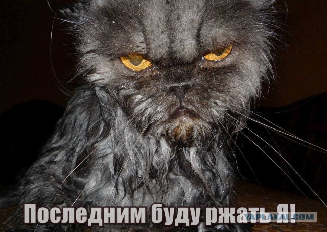 Сам ты Ми Ми Ми.