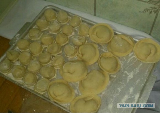 Пельмени любите?