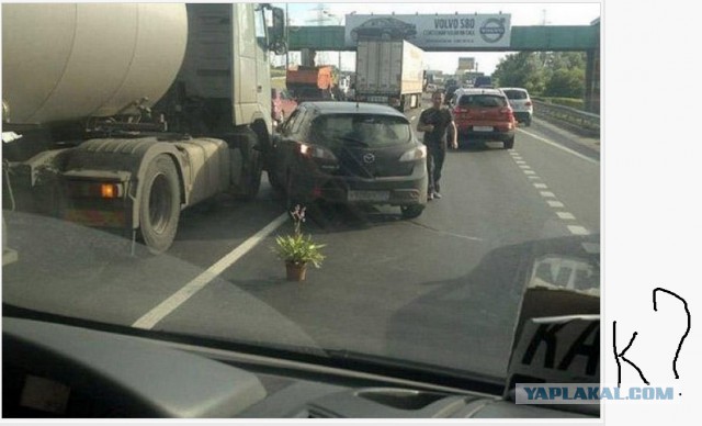 Умом Россию не понять
