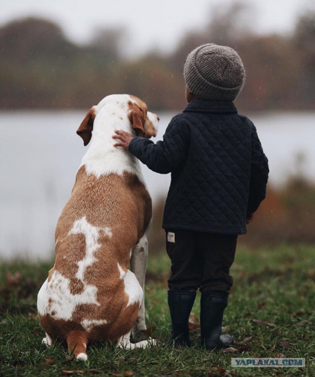 Собакочетверг