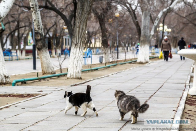 Байконур. Прогулка по городу
