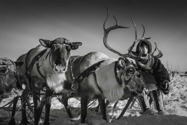 Небольшой микс картинок и гифок
