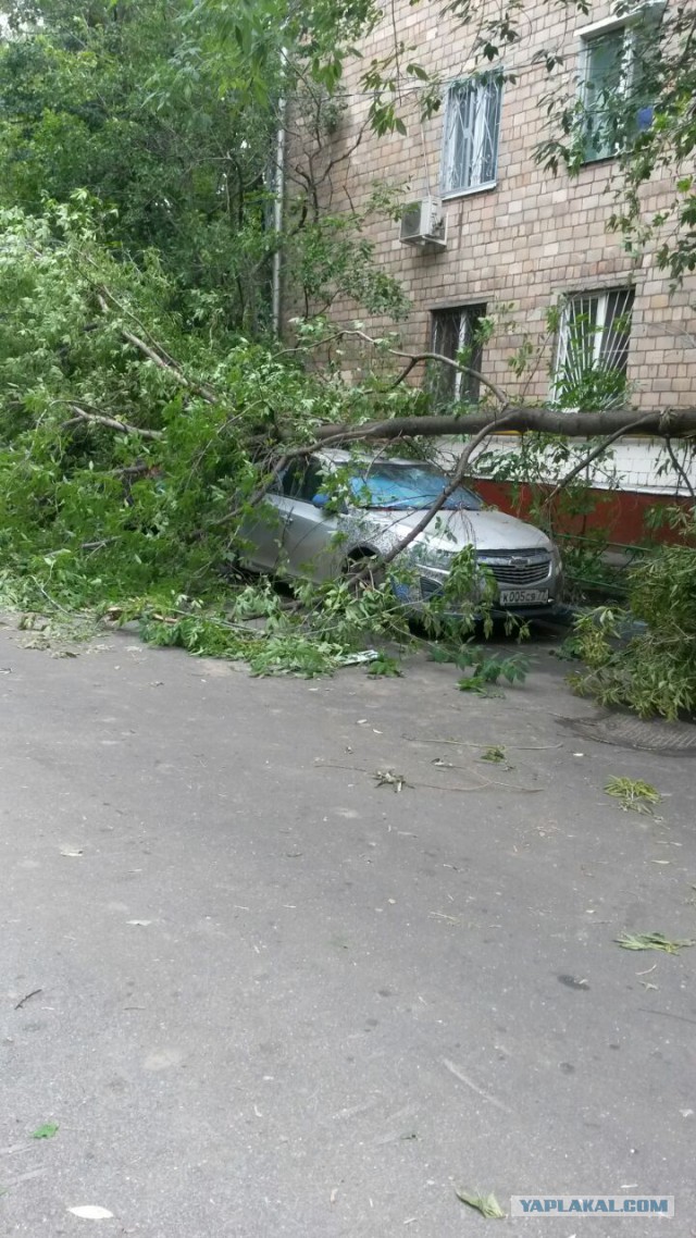 Сильная гроза в Москве и ее последствия