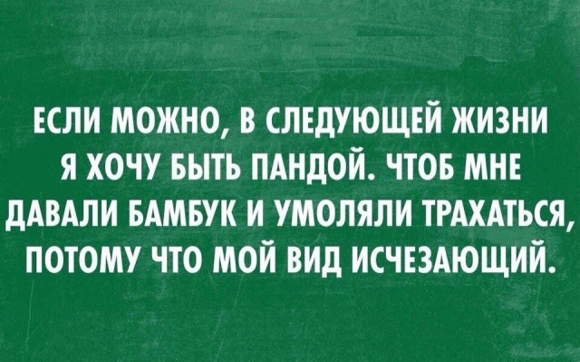 Подборка частицы смеха...