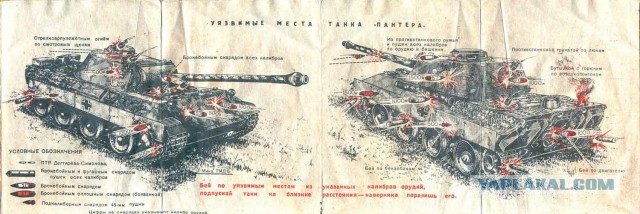Неудавшийся дебют «Пантер»