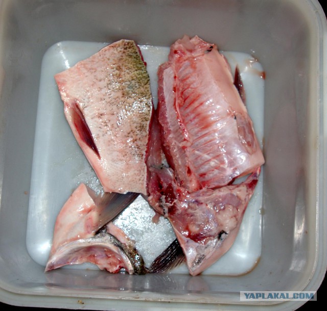 Пирог раздора