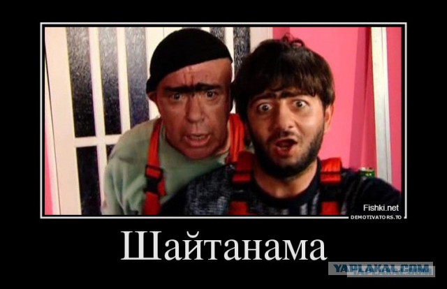 Сборная Новой Зеландии по регби в Японии