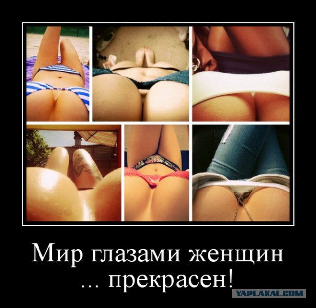 Баяны в чёрных рамках