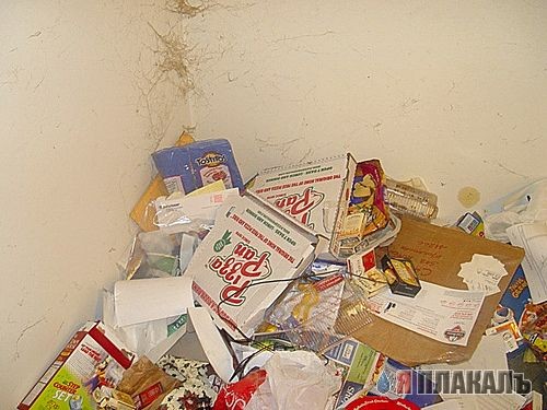 Сразу видно - жил интилигент.