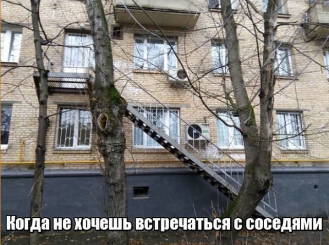 Подборка интересных и веселых картинок