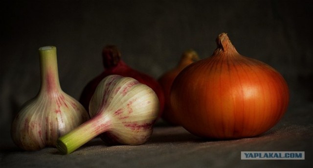 Арбидол и другие мифы о гриппе