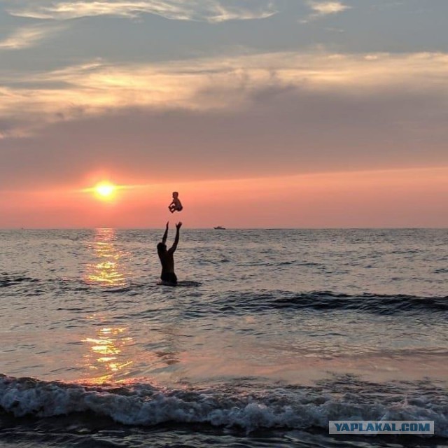 Немного милых жипегов