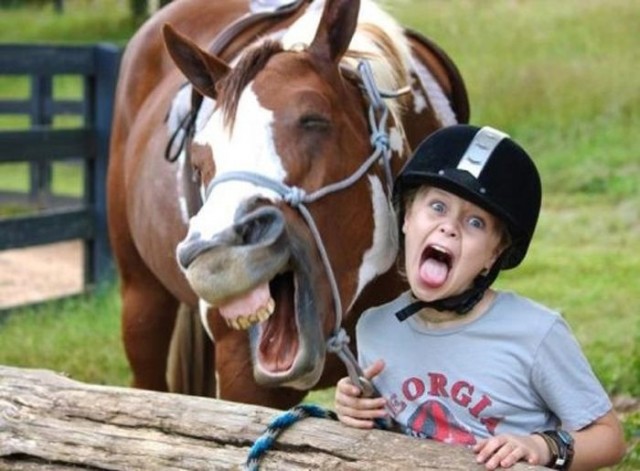 Самые смешные снимки животных за 2012 год
