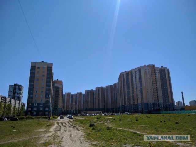 Давайте делиться фотками прошедшего дня