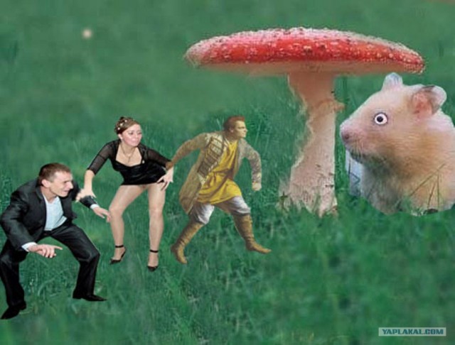 Фотожаба: Иди катайся!