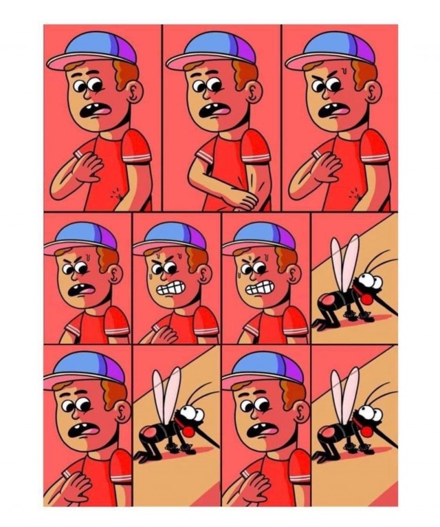 Image version