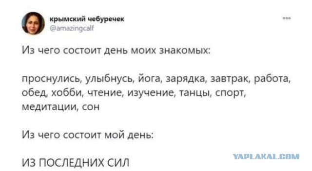 Кретинизмы из KV и KO 27.01.21