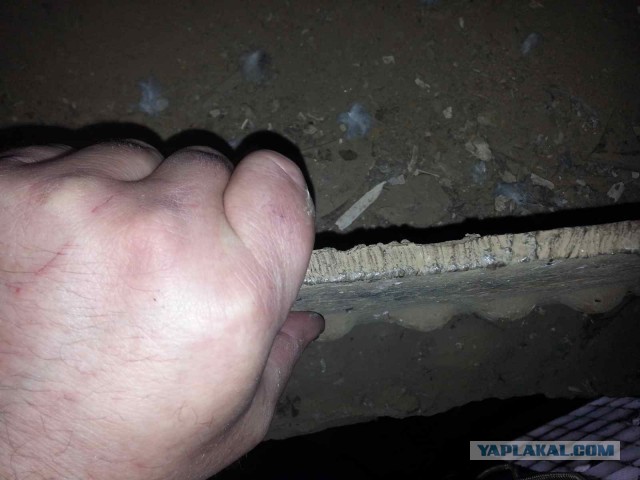 "Чей это дворец?" Как люди живут в водонапорной башне