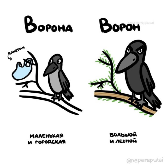 Не путайтесь, ребята