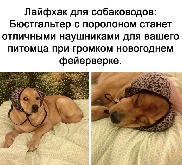 Чуток картинок 22.12.21