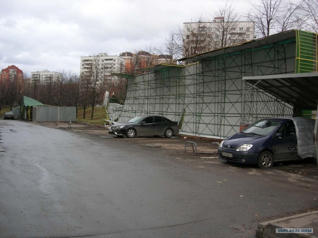 Штормовой ветер в Москве 23.11.08 г.