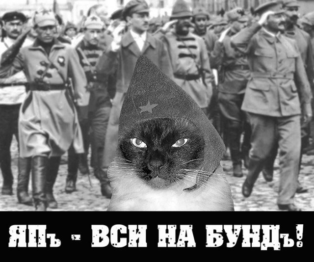 Доколе? Политика на ЯПе! Бунд!1