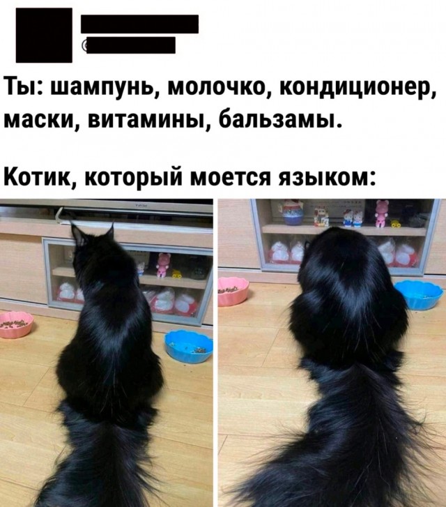 Так себе картинки 07.04.22