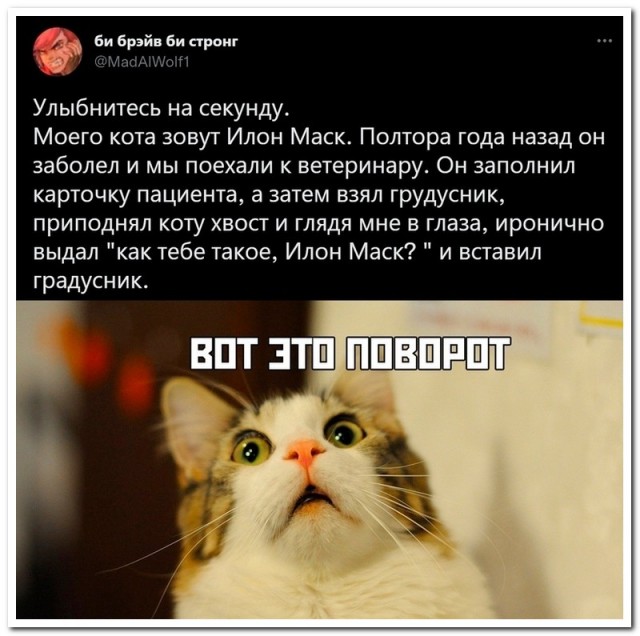 Забавные комментарии из социальных сетей (03.10.22)