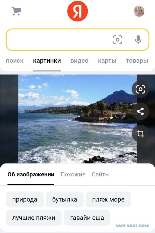 Каспер\Сиськи