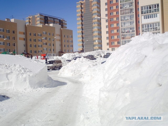 Весна на Камчатке