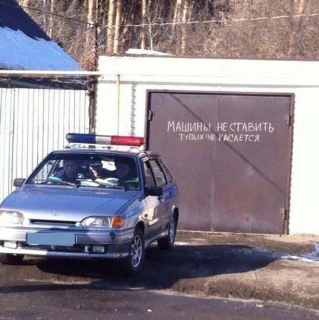 Весёлый полтишок 21.02.23