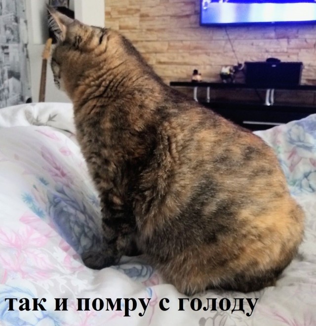 Дождалась
