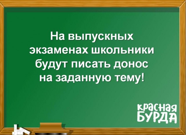 Всего понемногу 24.05