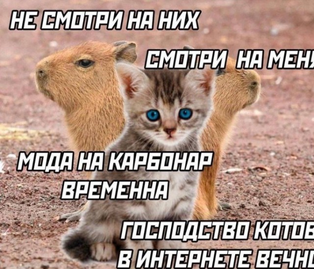 Всего понемногу. От 05.08