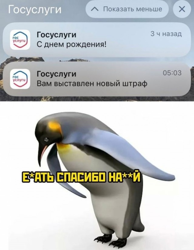 Так себе картинки 22.10.23