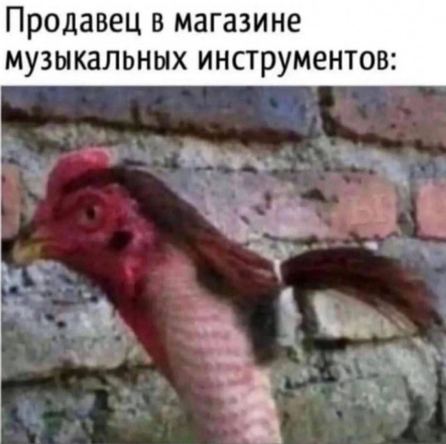 Народная меДИЧина 9010