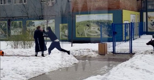 На владельца собак, напавшего на москвичку, завели уголовное дело