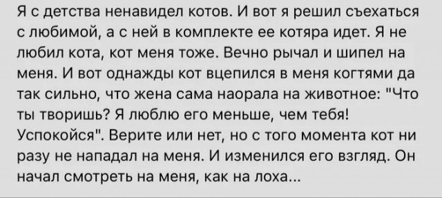 Так себе картинки 29.04.24