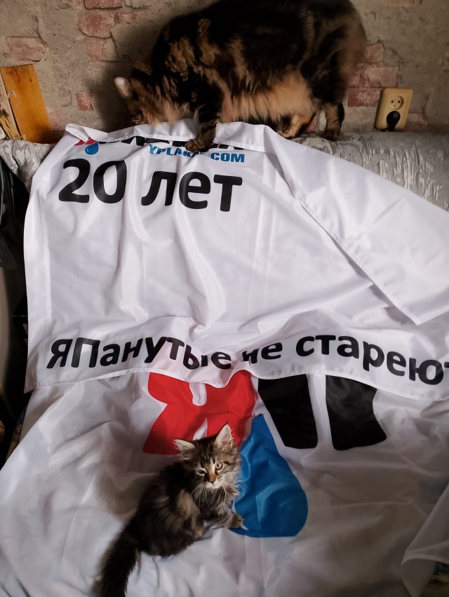 ⚡ ЯП, с Днем Рождения! С юбилеем! 20 лет ЯПу!
