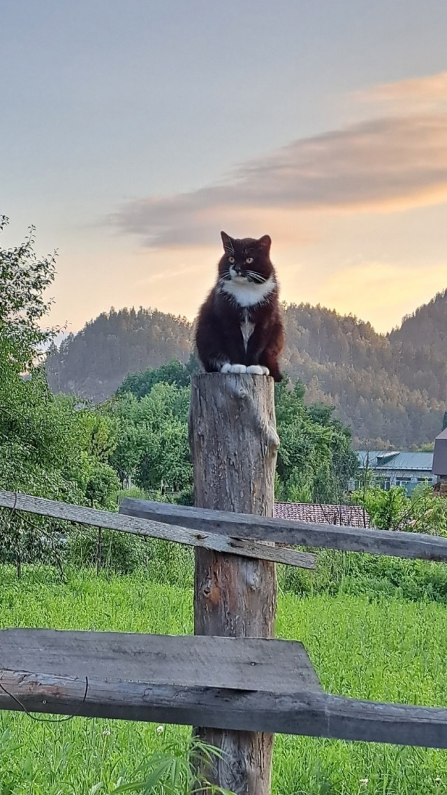 ФотоВинегрет