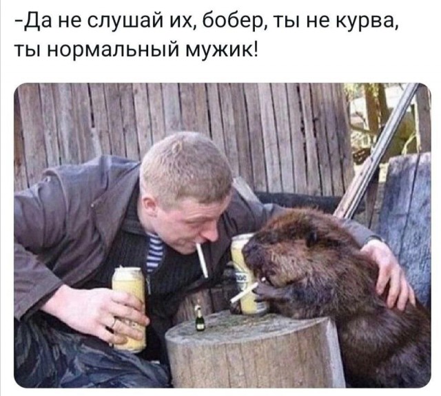 Так себе картинки 10.12.24