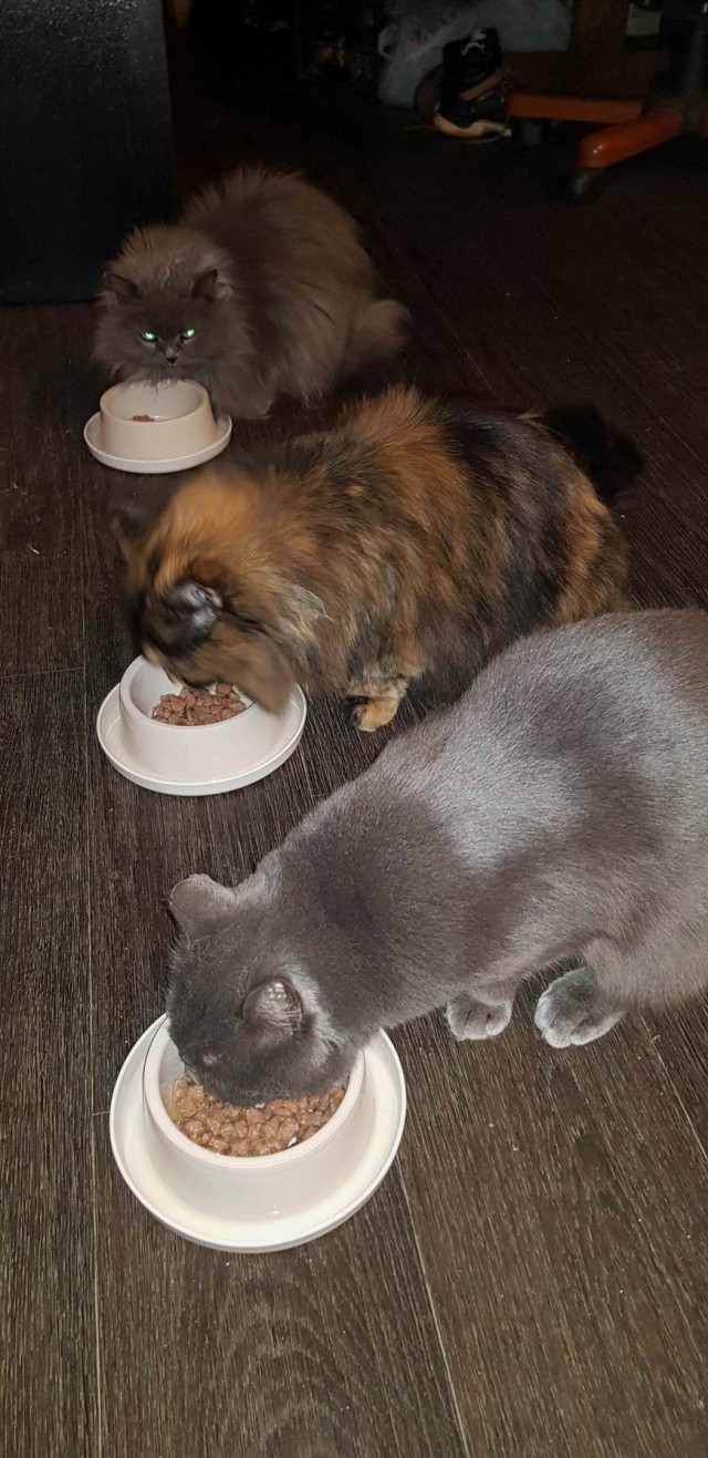 Ну вот я дважды раб