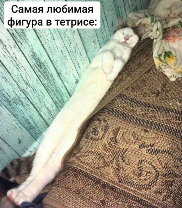 Весёлый полтишок 31.12.24