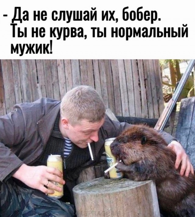 Веселые картинки в пятницу (21.02)