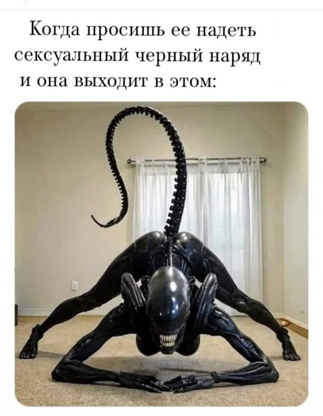 Так себе картинки 25.04.25