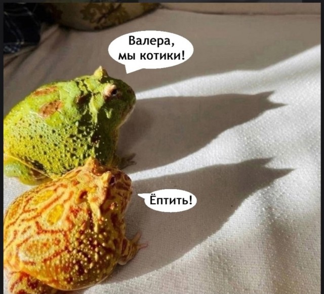 Падонги, кину чуть картинок. 10 штук