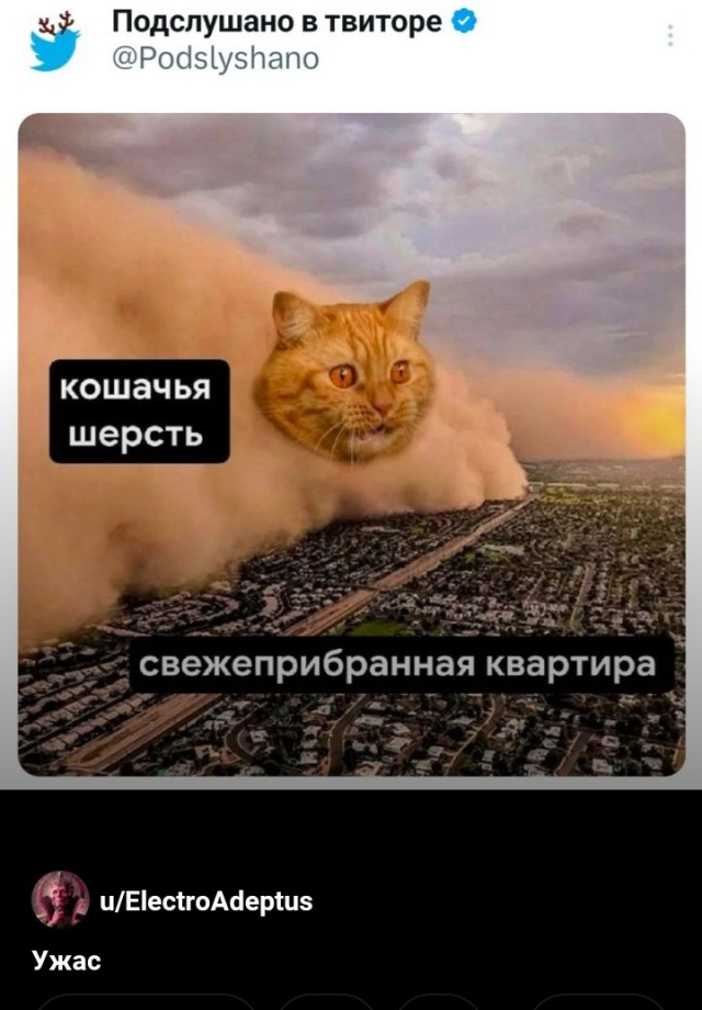 Еб**ины