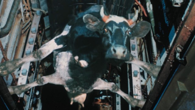 Мужики опробовали вездеход на воде и вот что из этого получилось