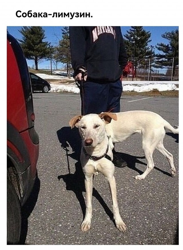 Так себе картинки 24.08.25