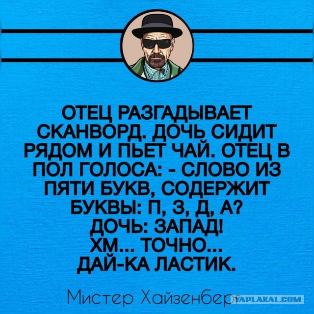 Картинки для деградации 79 (разной степени свежести)